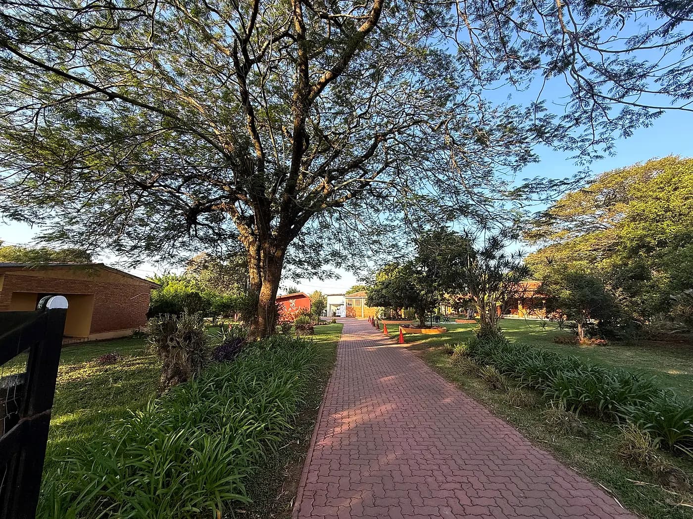 Alameda de entrada do Sítio Areia Branca, com caminho de tijolo entre os jardins