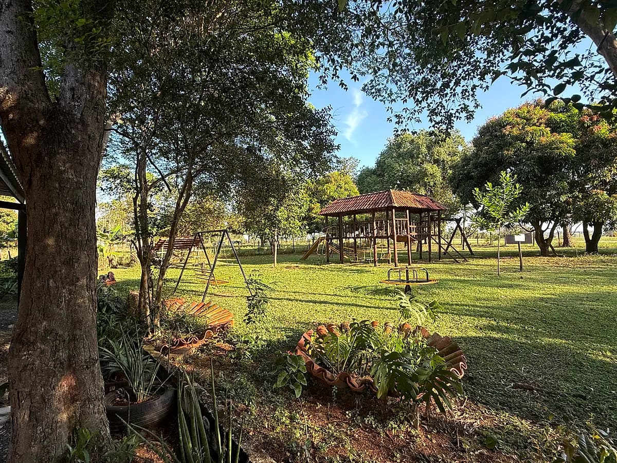Área de lazer arborizada do sítio, com quiosque e balanços